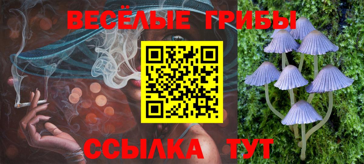 Галлюциногенные грибы GOLDEN TEACHER Ноябрьск