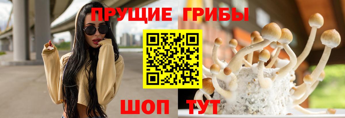 Псилоцибиновые грибы ЛСД  даркнет сайт  Ноябрьск  Вход с VPN 