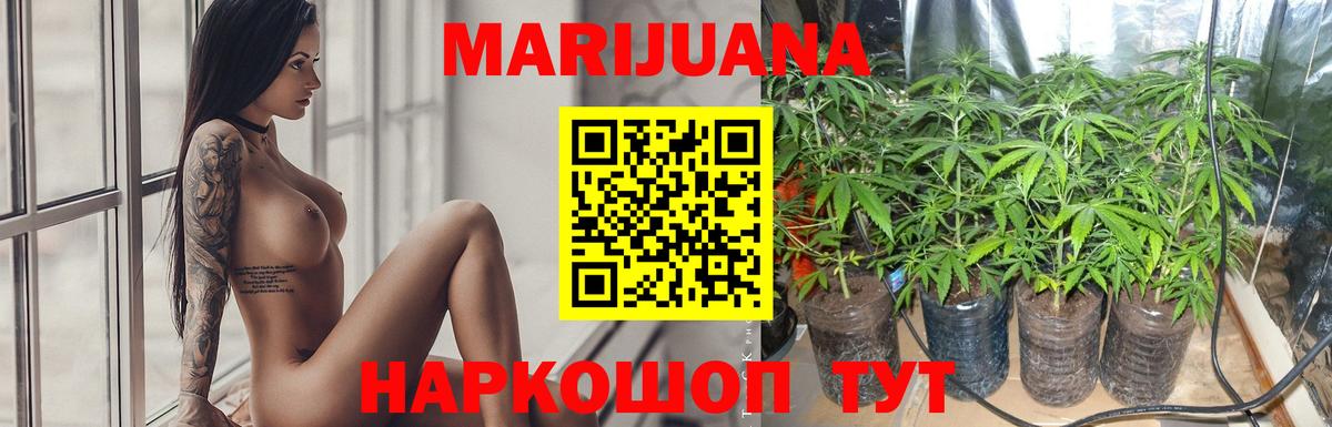 Шишки марихуана Bruce Banner  Канабис OG Kush  Вход с VPN  Марихуана сатива  Марихуана Bruce Banner  Ноябрьск 